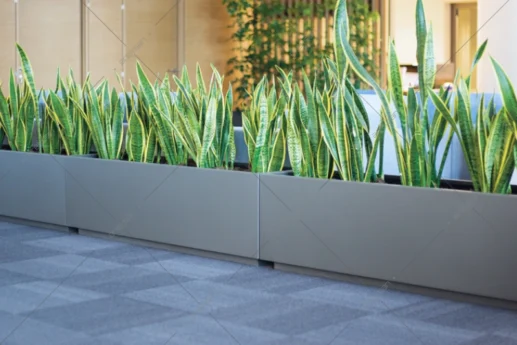 Areksan Anemone rectangular stainless steel planter
