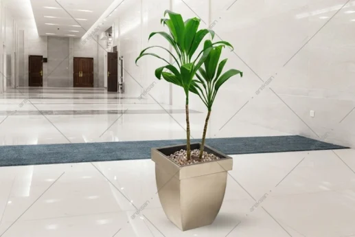 Areksan Carnation tapered square stainless steel planter with rim detail