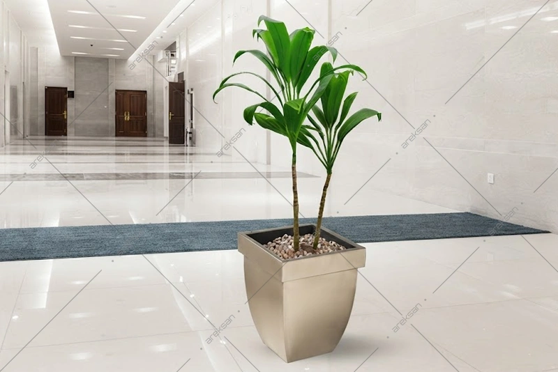 Areksan Carnation tapered square stainless steel planter with rim detail